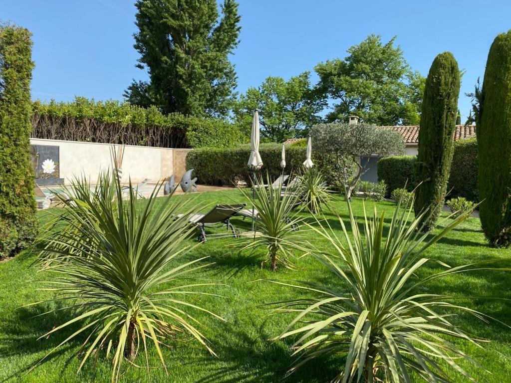 Mas Beau Soleil & Spa Cottages De Charme Avec Jacuzzi&Jardin Prives Saint-Rémy-de-Provence 외부 사진